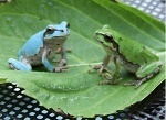 photo_6