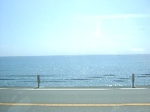 e0016135_2315124