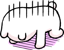 てんちょう