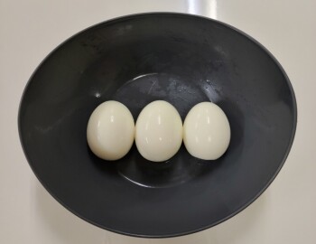 たまご