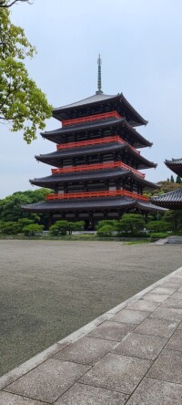 てんちょう