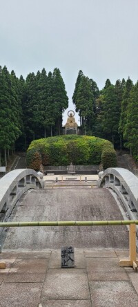 てんちょう
