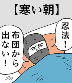 てんちょう